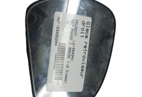 Glace retroviseur droit PEUGEOT 207