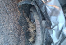 Moteur essuie glace arriere TOYOTA C-HR Photo n°14