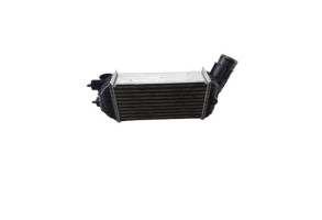 Echangeur air (Intercooler) PEUGEOT 3008 1 Photo n°1