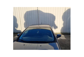 Porte arriere gauche FIAT BRAVO 2 Photo n°14