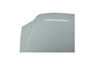 Capot VOLKSWAGEN FOX Photo n°6
