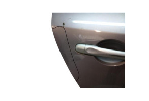 Porte arriere droit RENAULT MEGANE 3 Photo n°5