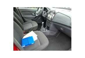 Poignee interieur arriere droit DACIA SANDERO 2 Photo n°15