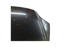 Capot VOLKSWAGEN FOX Photo n°1