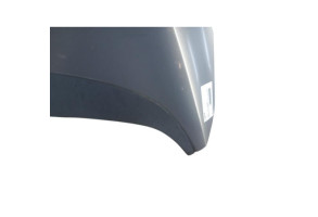 Capot OPEL MERIVA B Photo n°6