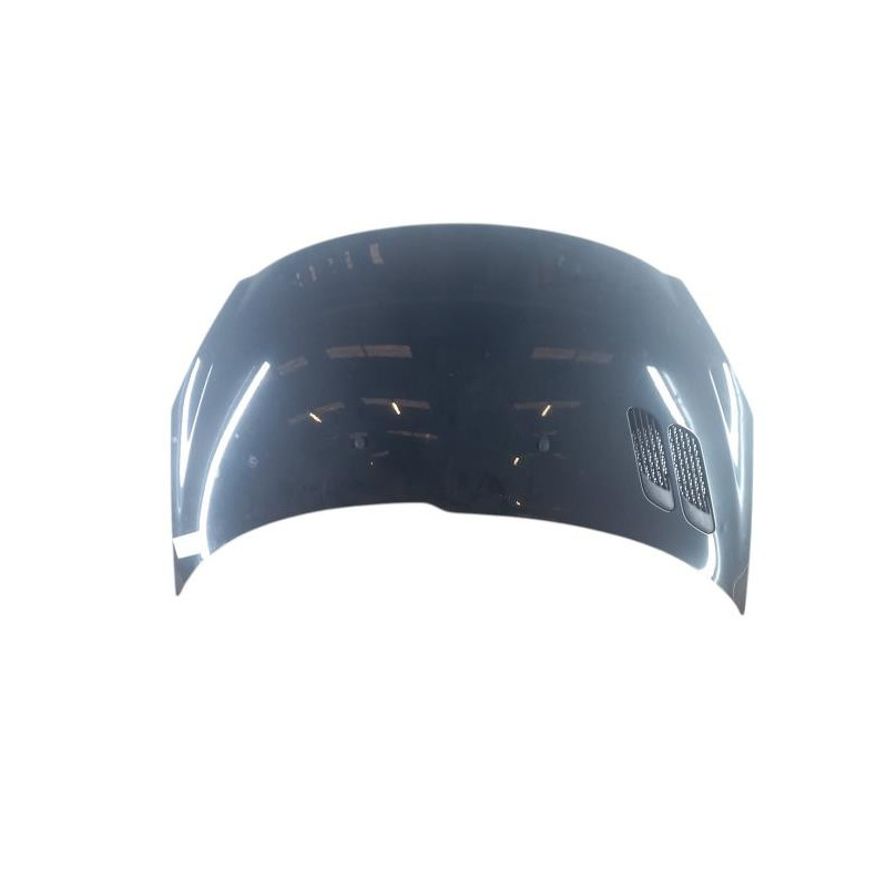 Capot PEUGEOT 206+ Photo n°1
