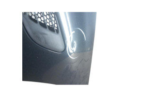 Capot PEUGEOT 206+ Photo n°5
