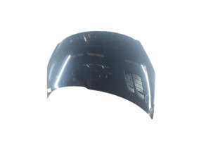 Capot PEUGEOT 206+ Photo n°6