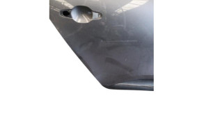 Porte arriere droit RENAULT SCENIC 4 Photo n°4