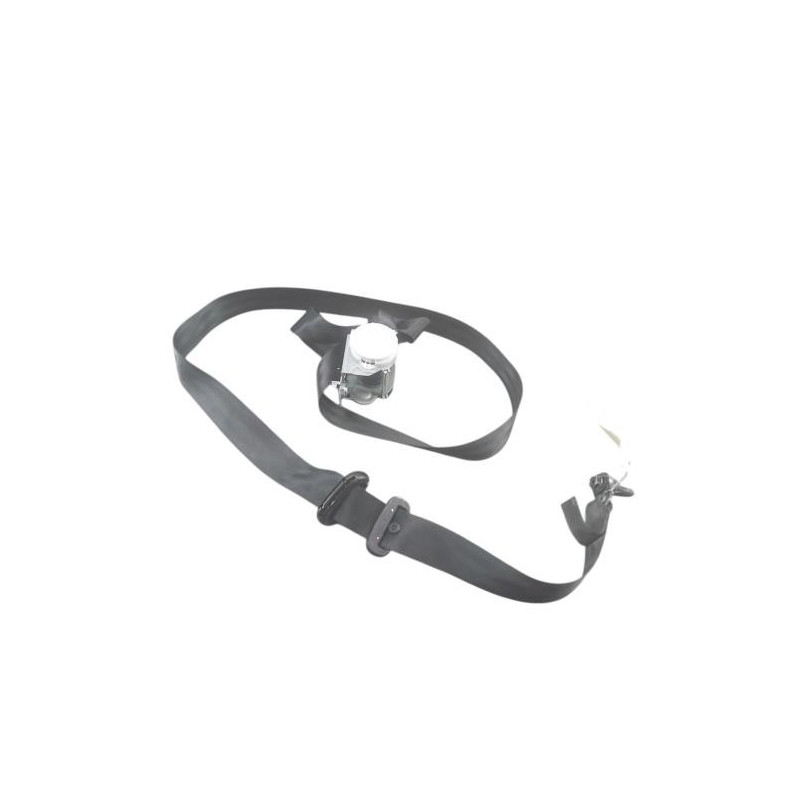 Ceinture arriere gauche RENAULT TWINGO 3 Photo n°1