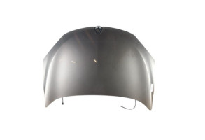 Capot RENAULT MEGANE 3 Photo n°1