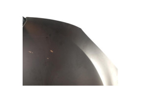 Capot RENAULT MEGANE 3 Photo n°5