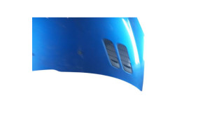 Capot PEUGEOT 206+ Photo n°4