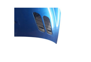 Capot PEUGEOT 206+ Photo n°5