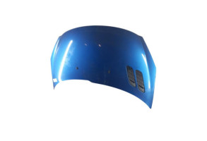 Capot PEUGEOT 206+ Photo n°6