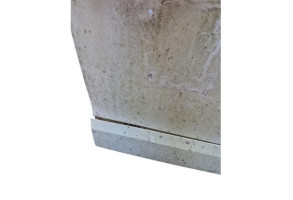 Porte avant droit RENAULT SCENIC 3 Photo n°6