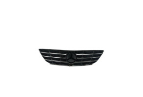 Calandre MERCEDES CLASSE B 245 Photo n°1