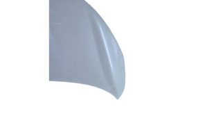 Capot RENAULT ZOE 2 Photo n°1