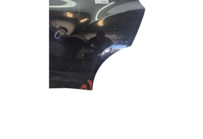 Porte arriere gauche NISSAN JUKE 1 Photo n°2