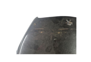 Capot PEUGEOT 508 1 Photo n°4