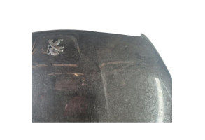 Capot PEUGEOT 508 1 Photo n°5