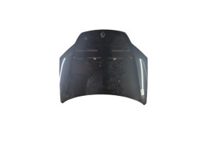 Capot RENAULT LAGUNA 3 Photo n°1