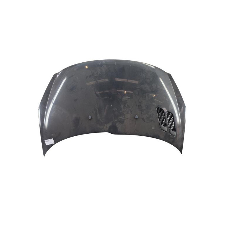 Capot PEUGEOT 206+ Photo n°1