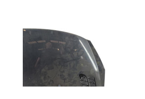 Capot PEUGEOT 206+ Photo n°4