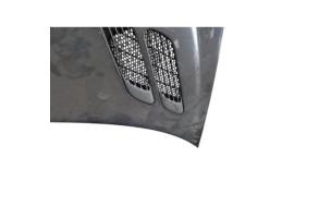 Capot PEUGEOT 206+ Photo n°5