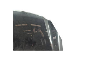 Capot OPEL INSIGNIA 1 Photo n°5