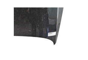 Capot OPEL INSIGNIA 1 Photo n°6