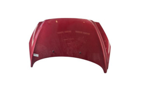 Capot PEUGEOT 308 1 Photo n°1