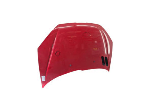 Capot PEUGEOT 206 Photo n°7