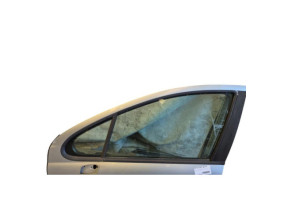 Porte avant gauche PEUGEOT 207 Photo n°2