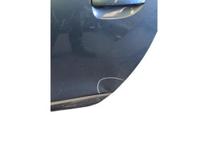 Porte arriere gauche DACIA LODGY Photo n°7