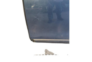 Porte arriere gauche DACIA LODGY Photo n°8