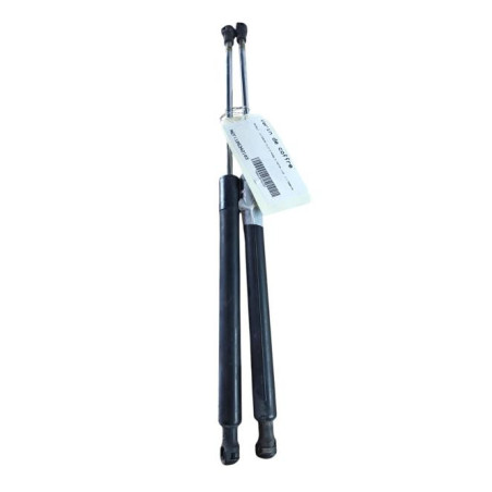 Verin de coffre RENAULT CLIO 3