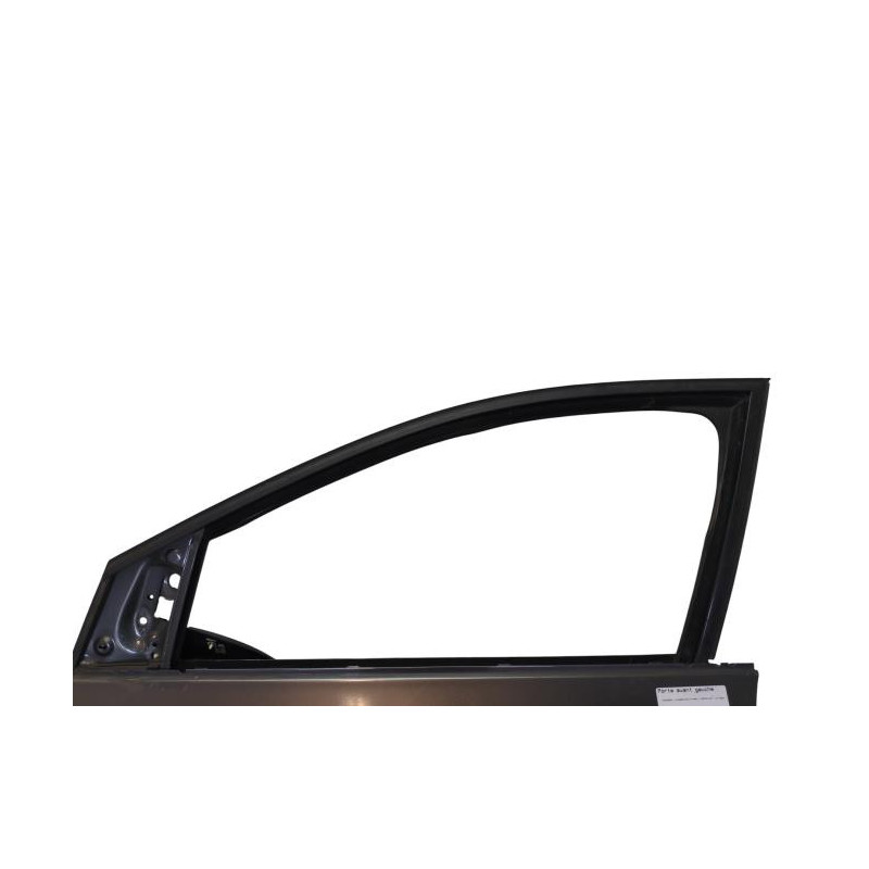 Porte avant gauche VOLKSWAGEN POLO 5 Photo n°1