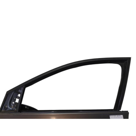 Porte avant gauche VOLKSWAGEN POLO 5