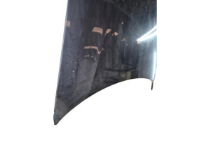 Capot AUDI A3 2 Photo n°3