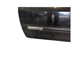 Porte avant gauche RENAULT CLIO 3 Photo n°2