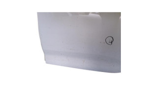 Porte arriere gauche RENAULT ZOE 2 Photo n°1 Porte arriere gauche RENAULT ZOE 2 Photo n°1
