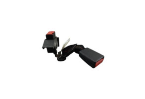 Attache ceinture arriere droit RENAULT CLIO 3 Photo n°5