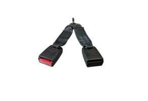 Attache ceinture arriere gauche DACIA SANDERO 1 Photo n°1