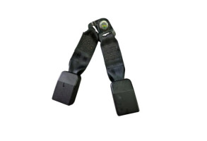 Attache ceinture arriere gauche DACIA SANDERO 1 Photo n°3