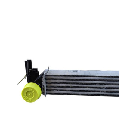 Echangeur air (Intercooler) VOLKSWAGEN POLO 5