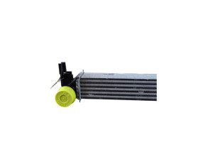 Echangeur air (Intercooler) VOLKSWAGEN POLO 5 Photo n°1