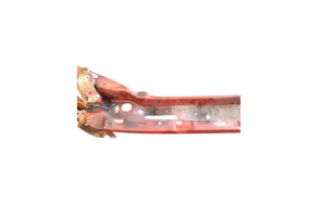 Armature avant, Masque avant VOLVO C 30 Photo n°7 Armature avant, Masque avant VOLVO C 30 Photo n°7
