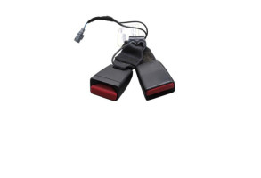 Attache ceinture arriere gauche RENAULT ZOE 1 Photo n°1
