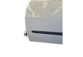 Porte avant gauche SEAT IBIZA 3 Photo n°1